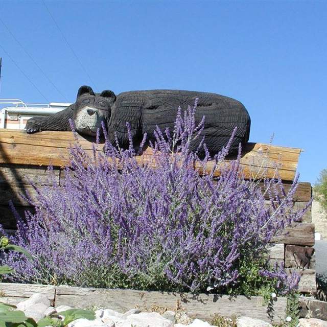 Sleeping Bear RV Park & Campground