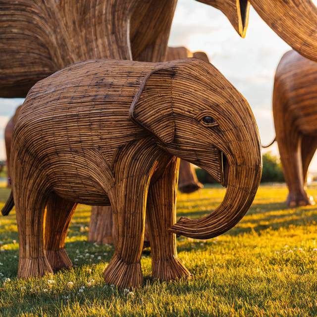 Sneak Peek of "The Great Elephant Migration"